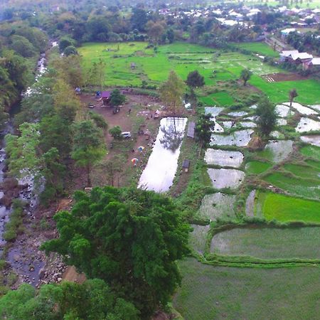 Tiu Batu Homestay Alas Luaran gambar
