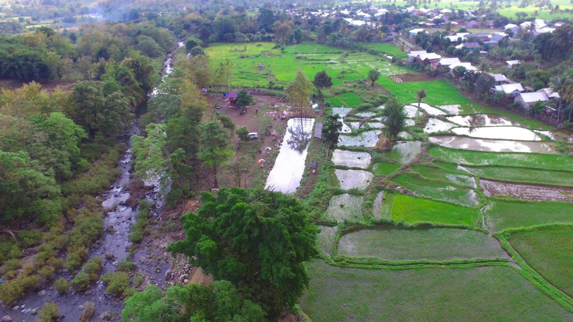 Tiu Batu Homestay Alas Luaran gambar