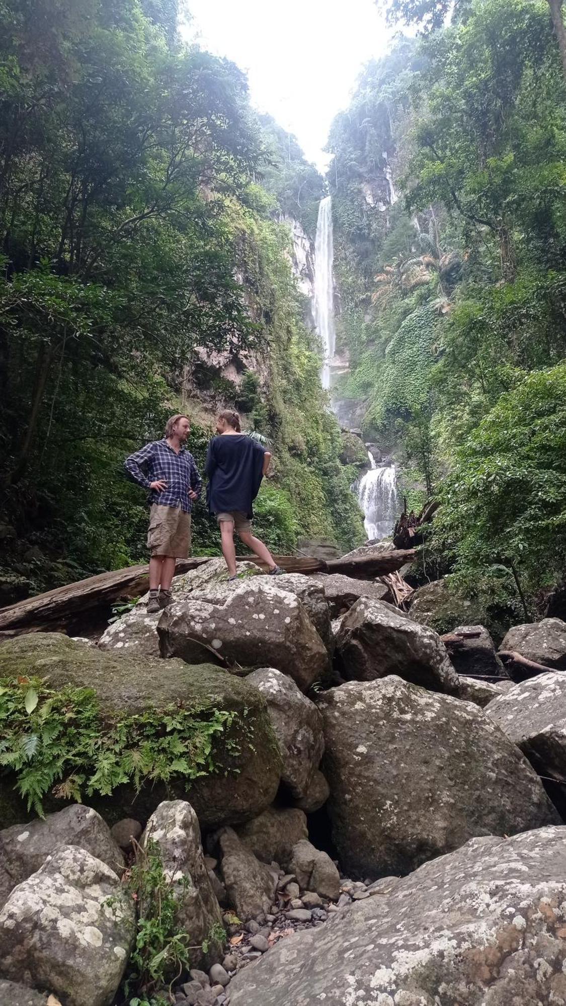 Tiu Batu Homestay Alas Luaran gambar