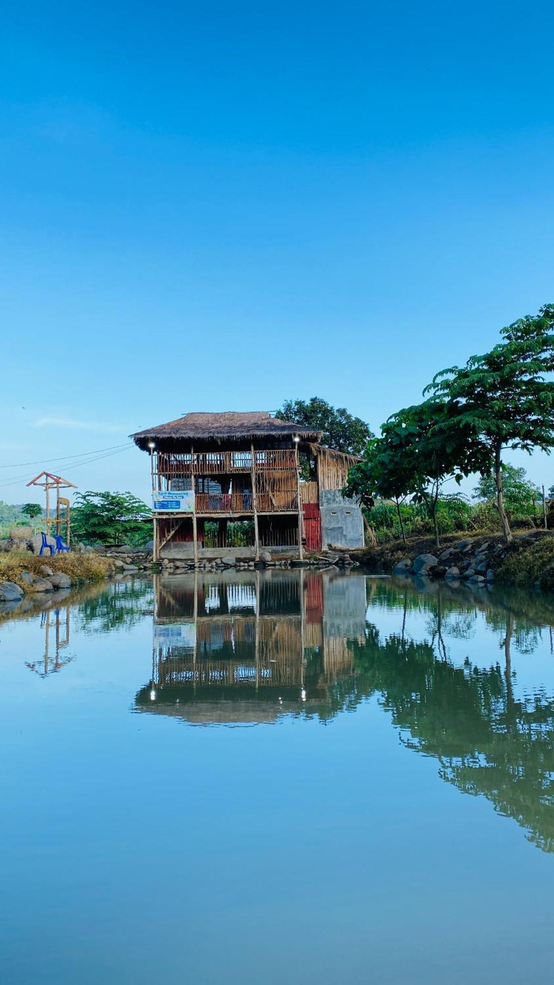 Tiu Batu Homestay Alas Luaran gambar