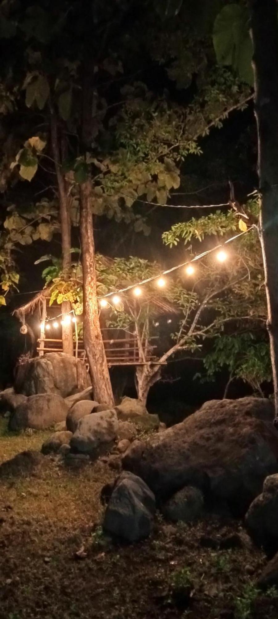 Tiu Batu Homestay Alas Luaran gambar